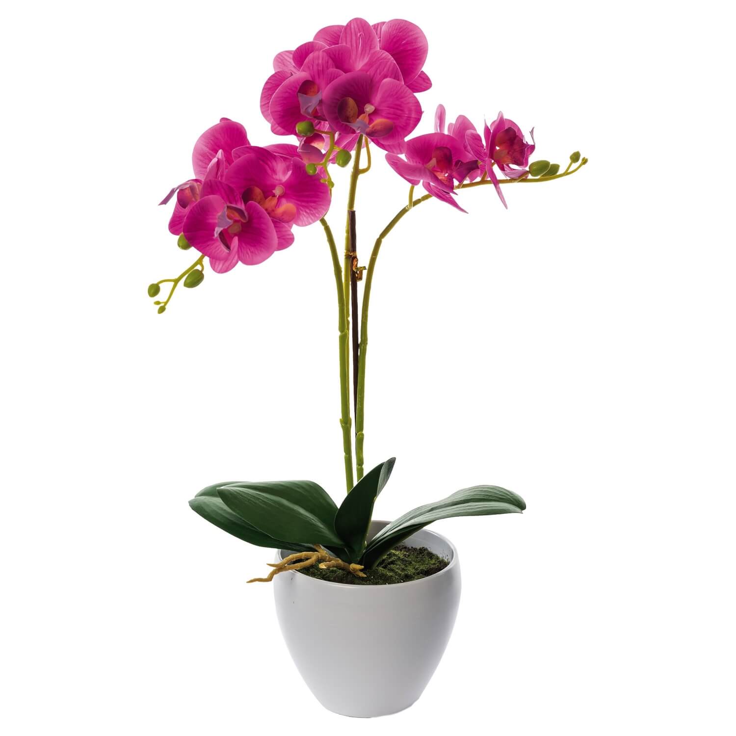 VASO CON ORCHIDEA CM.50 ASS.4 COLORI