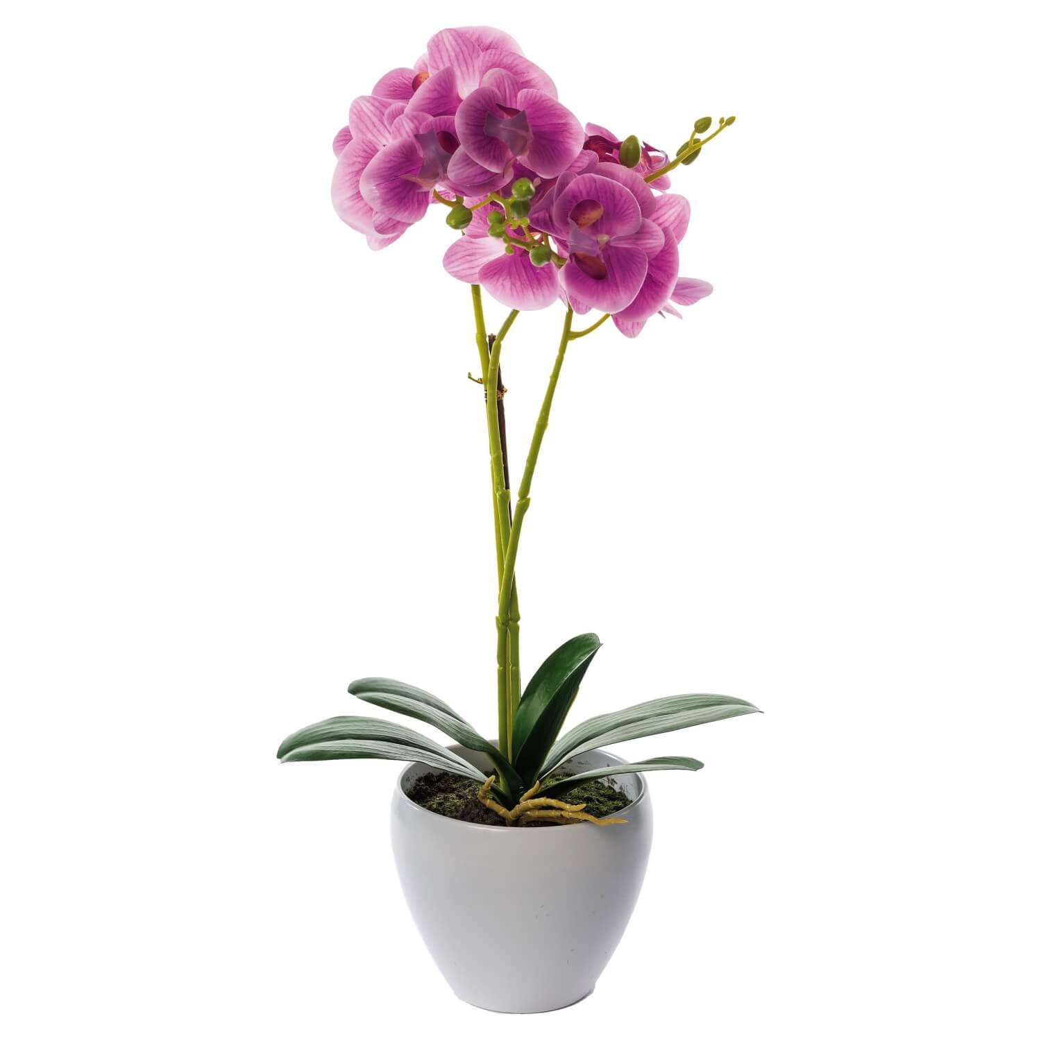 VASO CON ORCHIDEA CM.50 ASS.4 COLORI