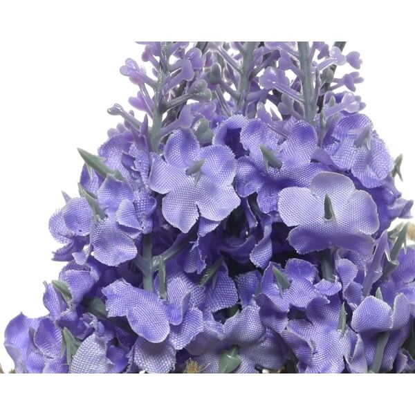 PIANTINA LAVANDA ASS.3